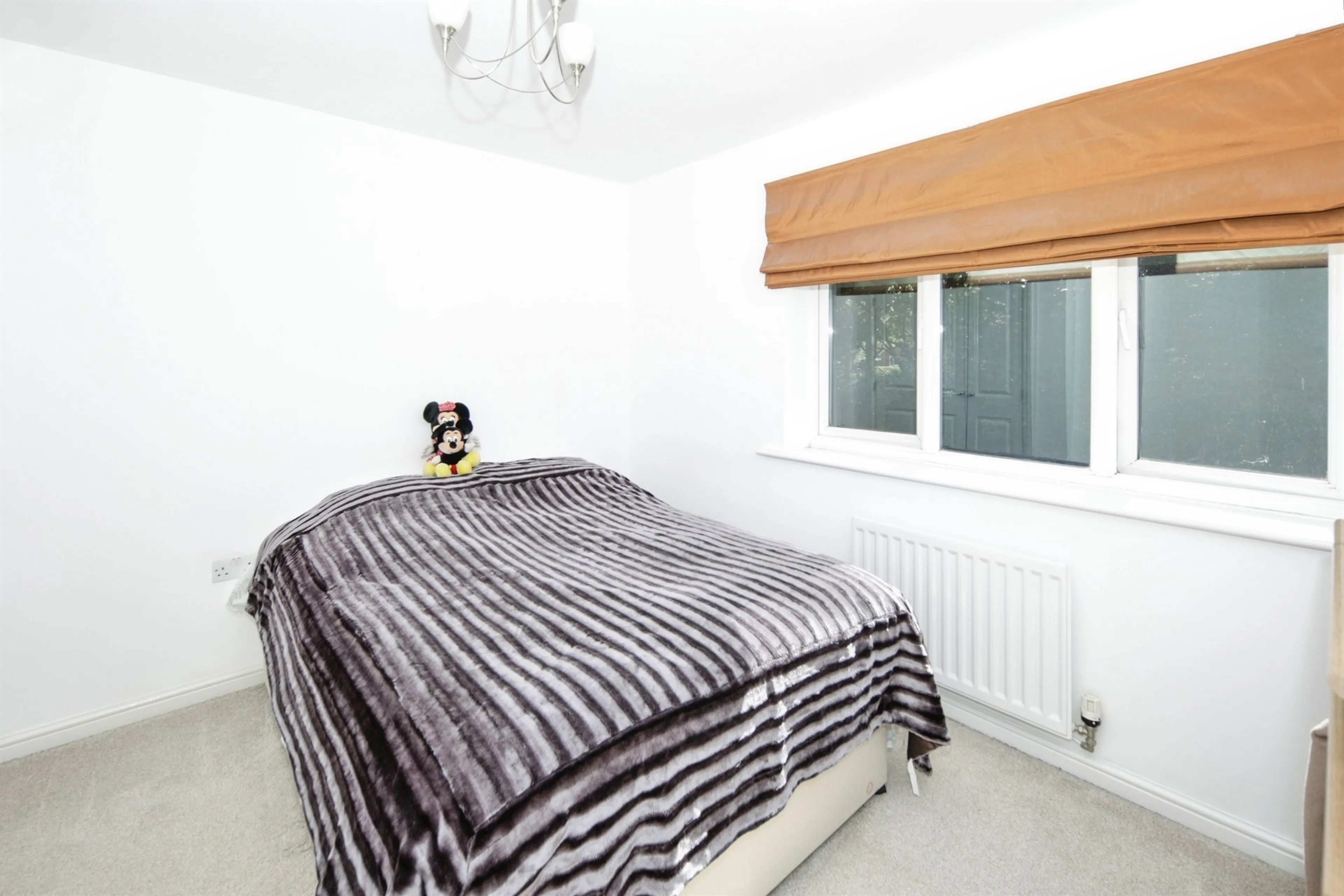 Property photo 22
