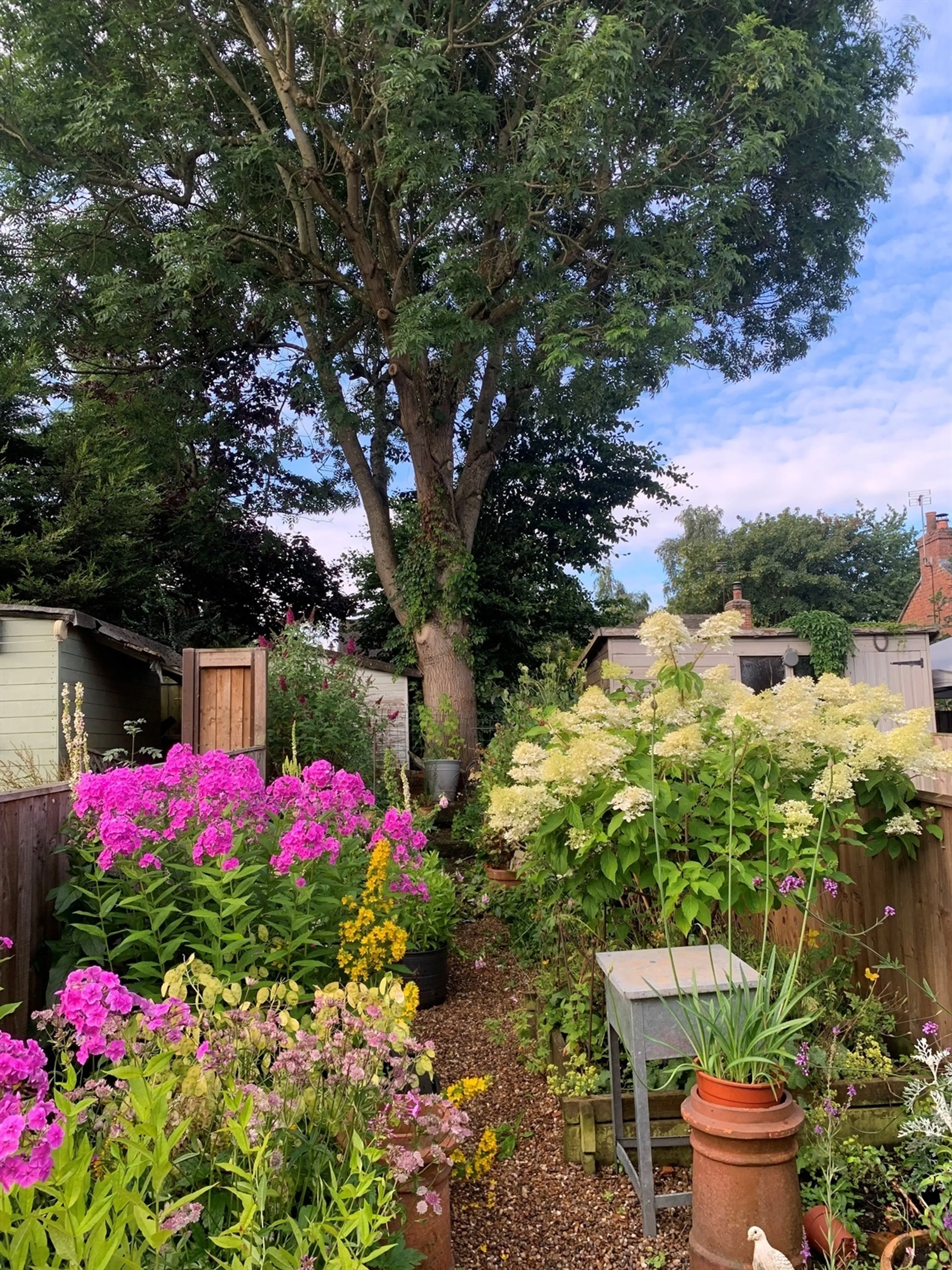 Property photo 17
