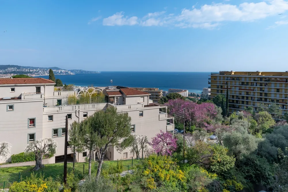 Nice, Alpes Maritimes, France