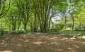 Property image gallery