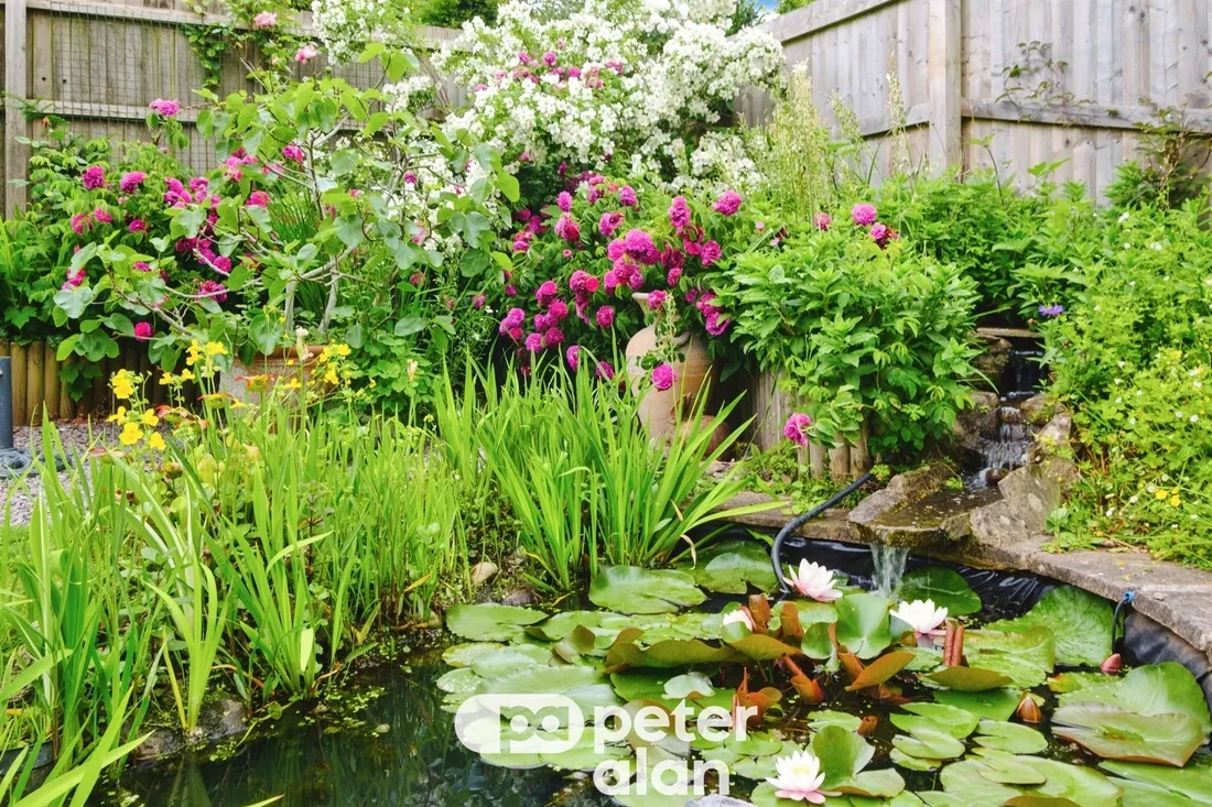 Property photo 32