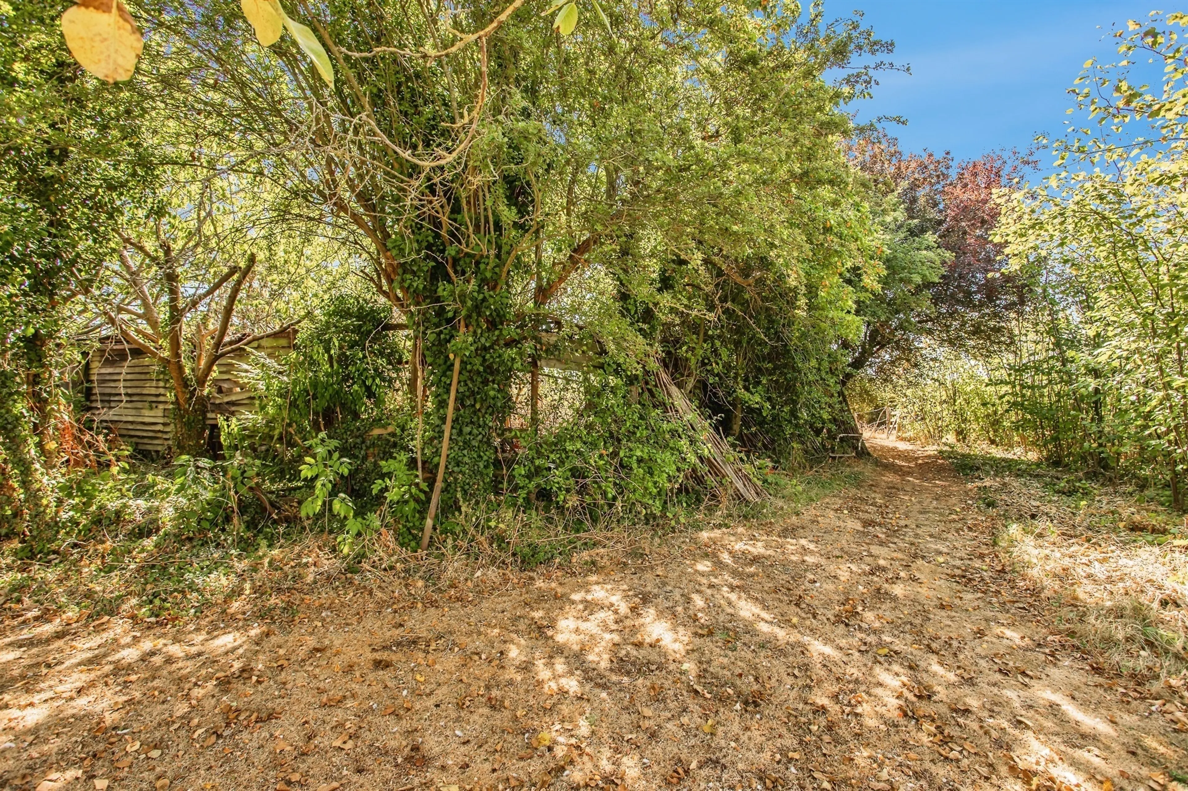 Property photo 7