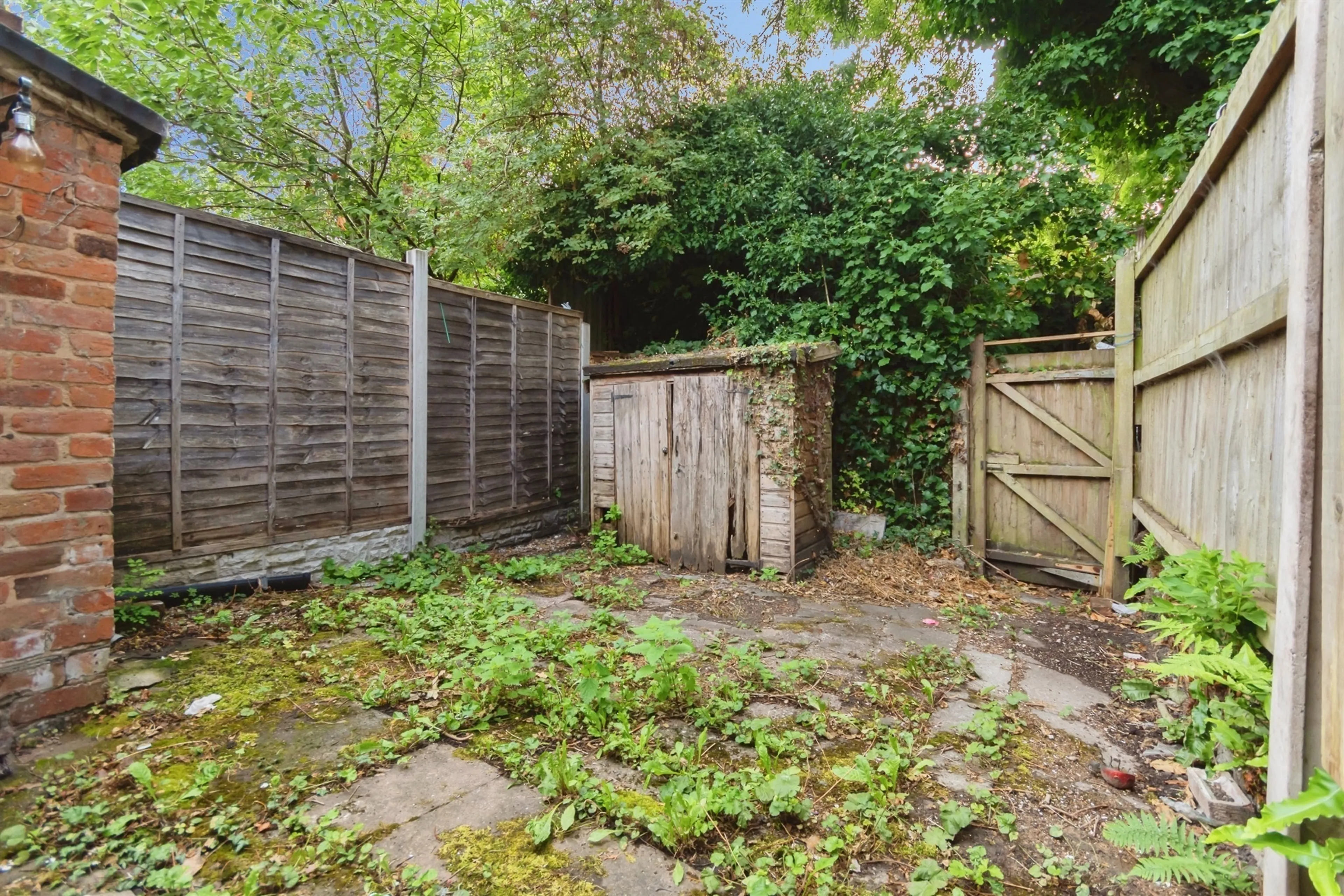 Property photo 19