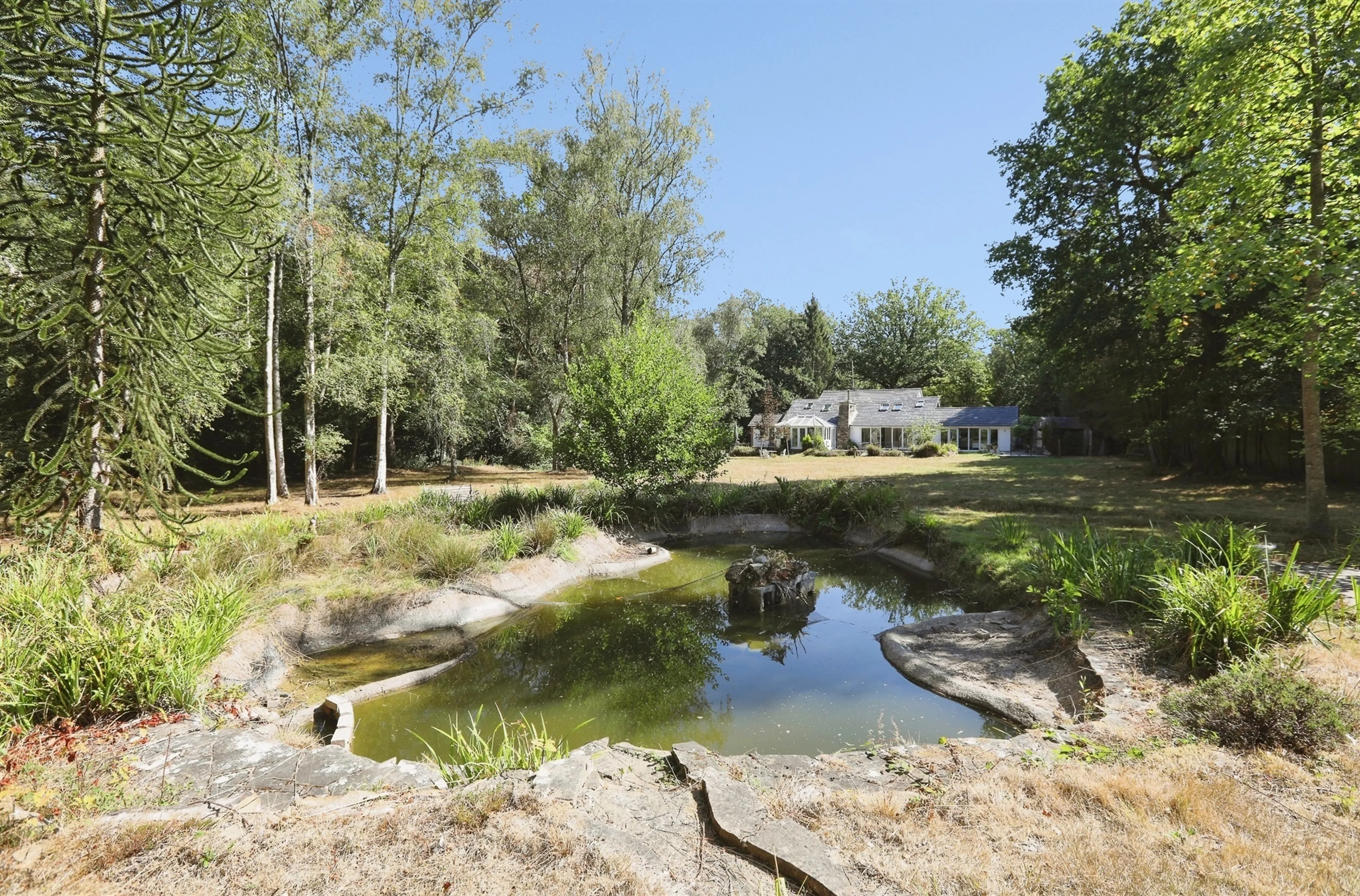 Property photo 19