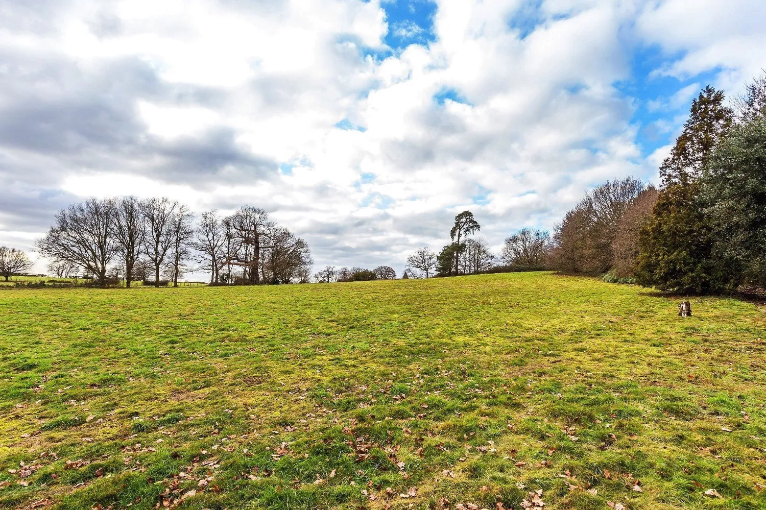 Hatchford Manor, Ockham Lane, KT11 photo 37