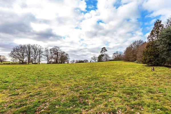 Hatchford Manor, Ockham Lane, KT11 photo 37