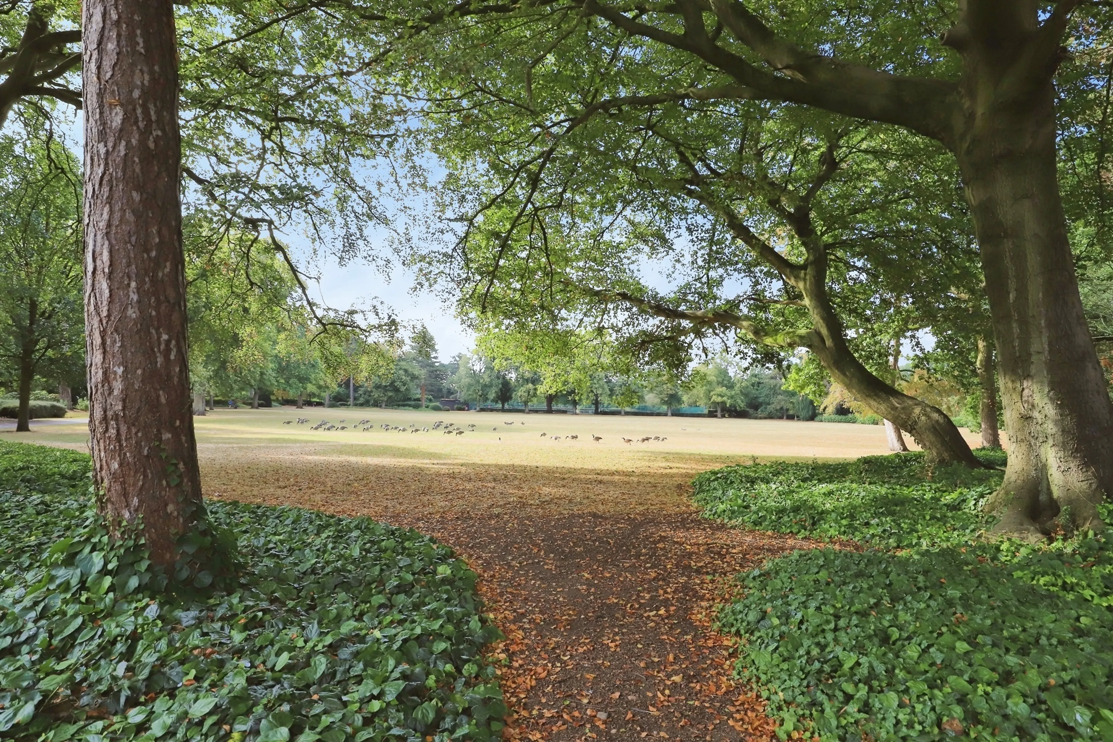 Property photo 14