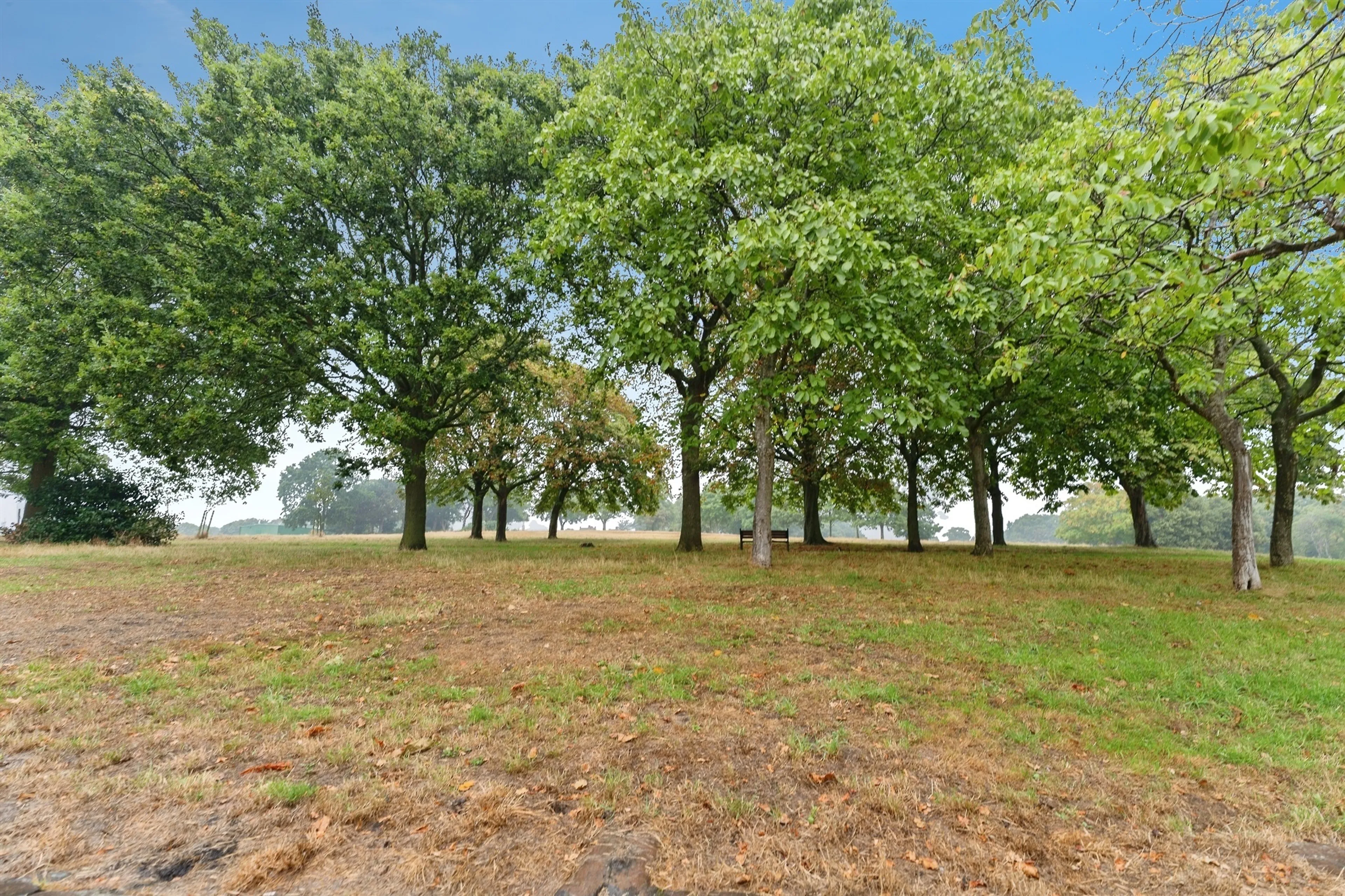 Property photo 23