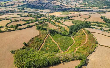 Silverton, Exeter