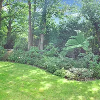 Property 30