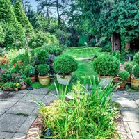 Property 36