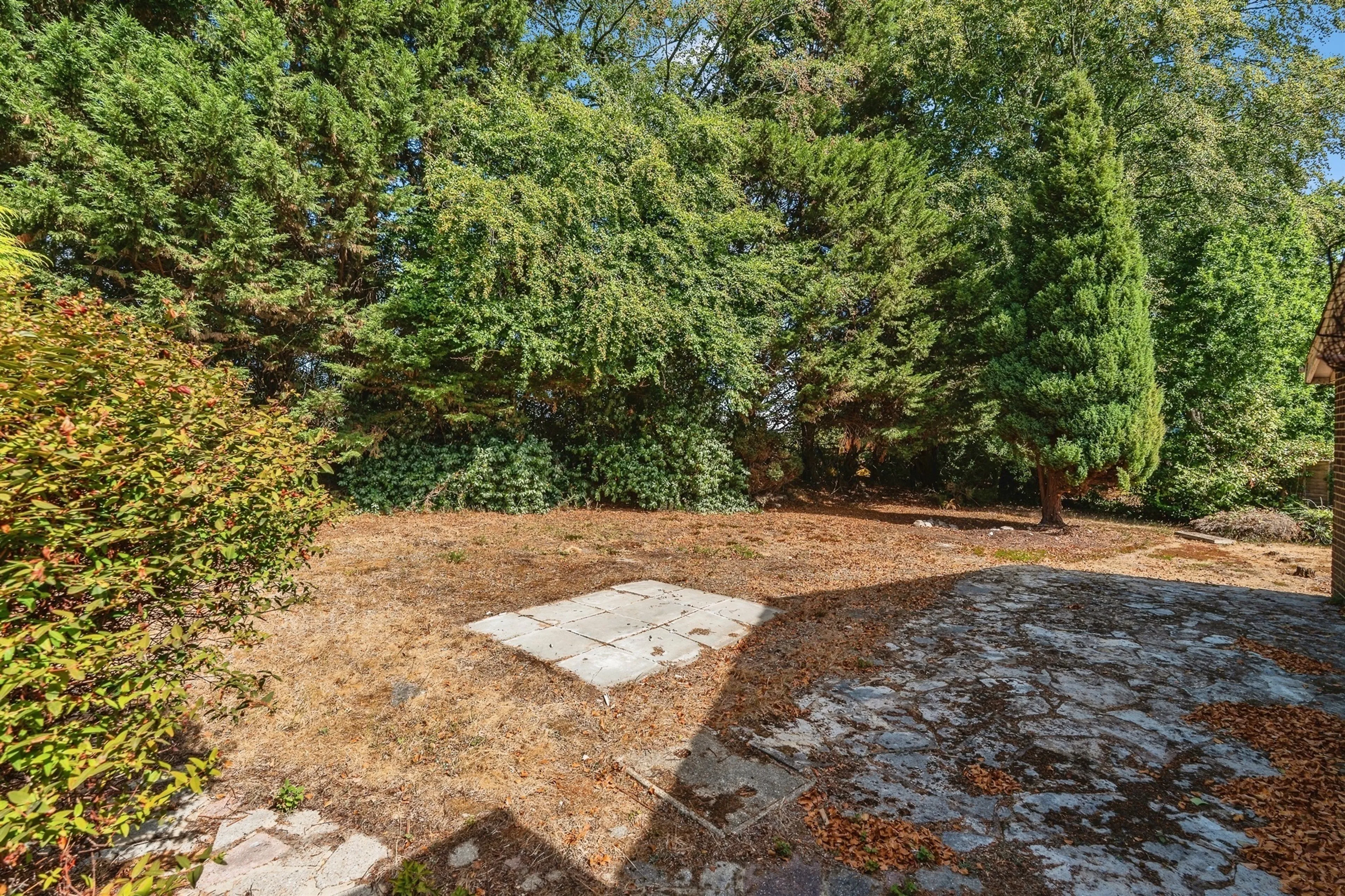 Property photo 20