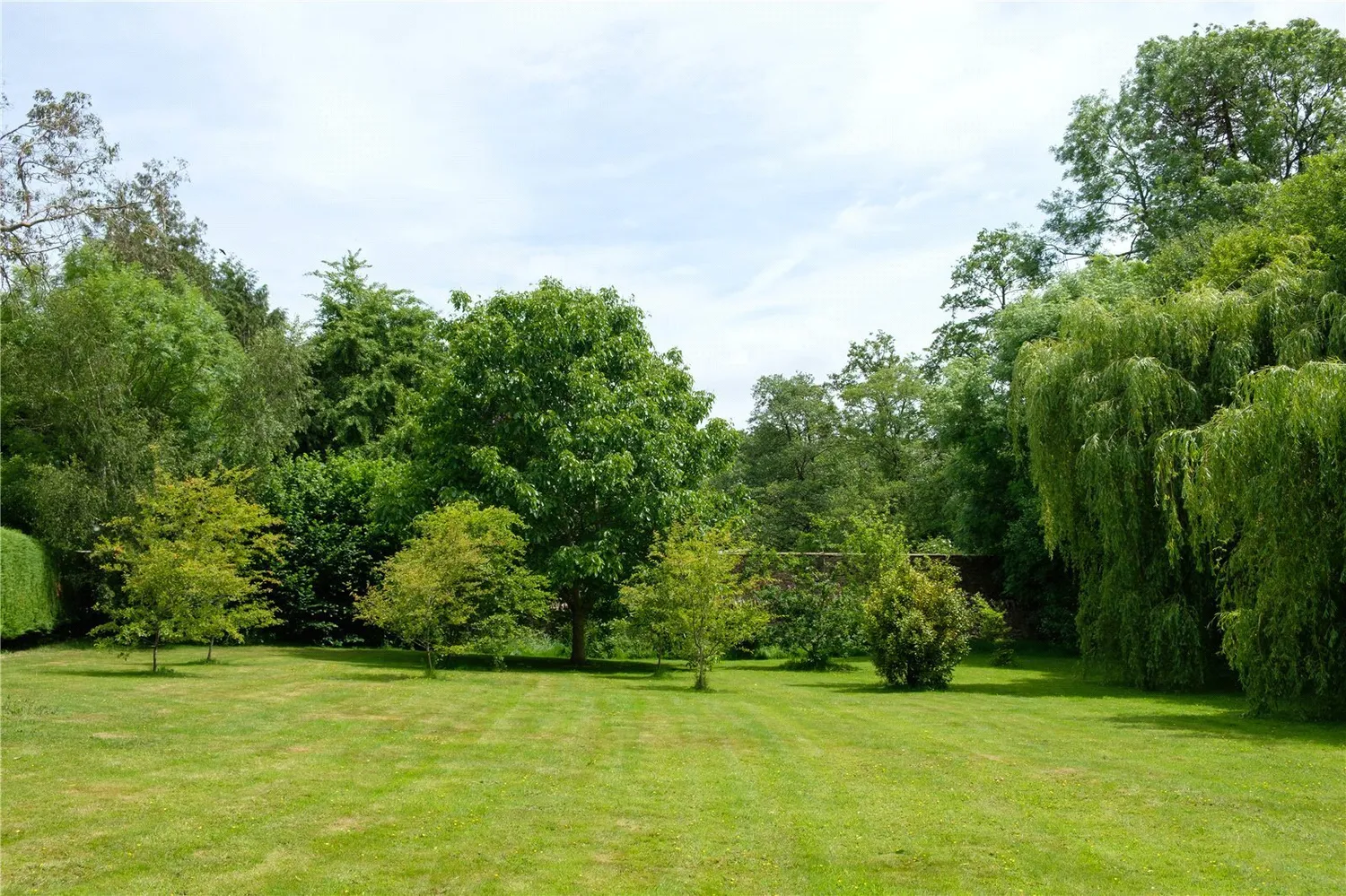 Dibbles Lane, West Coker, BA22 photo 15