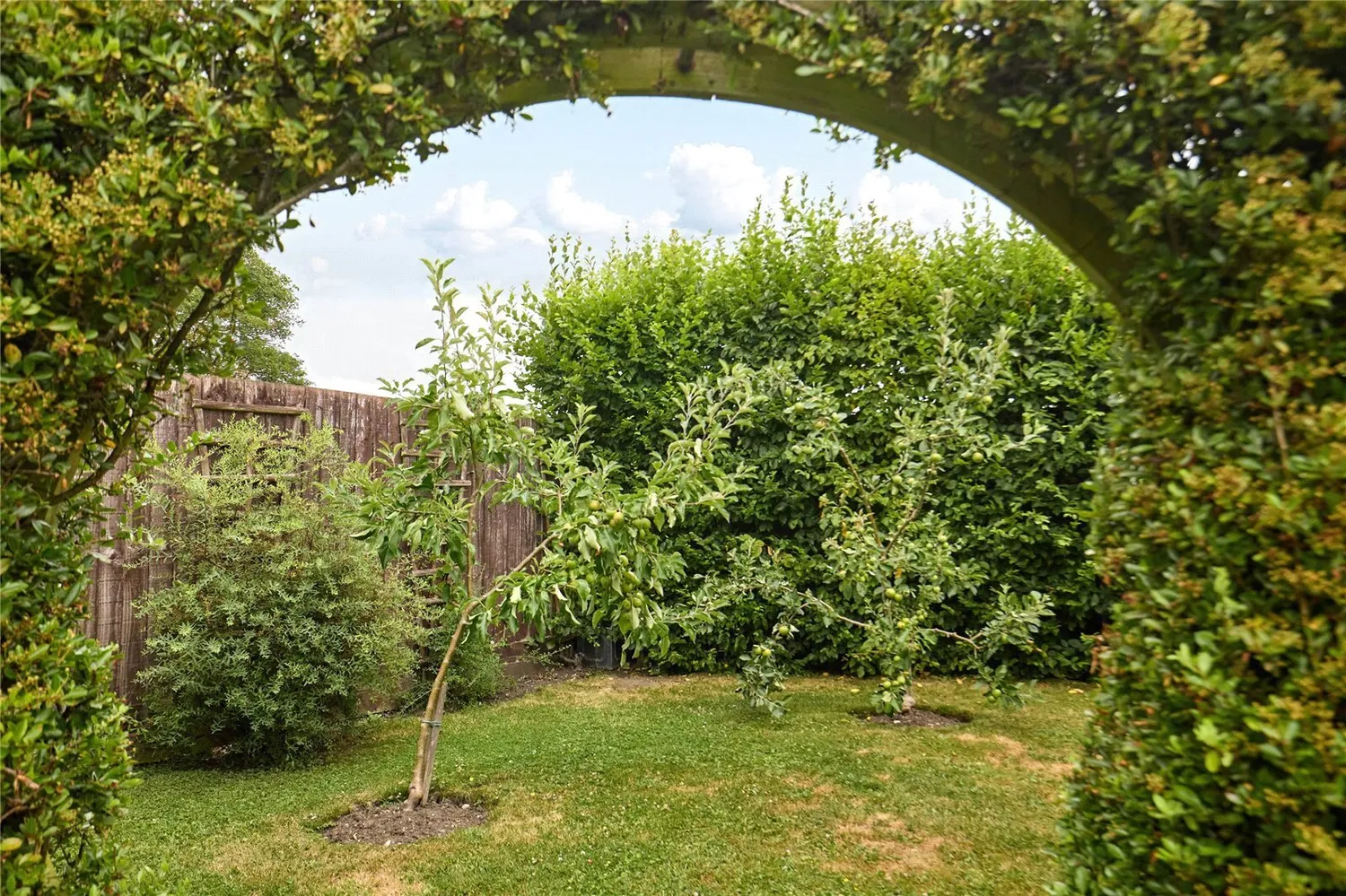 Crowfield, Ipswich, IP6 photo 18