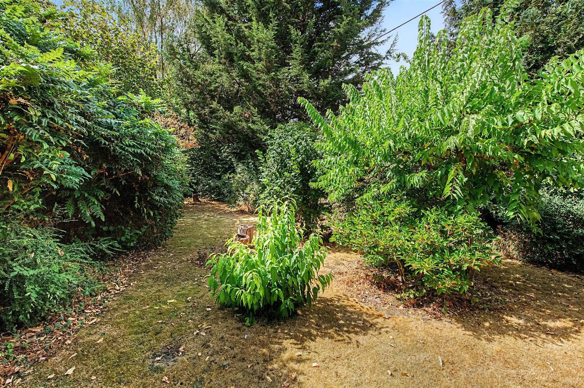 Property photo top 2