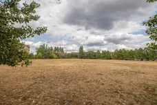 Acuba Road, London, SW18 photo 11