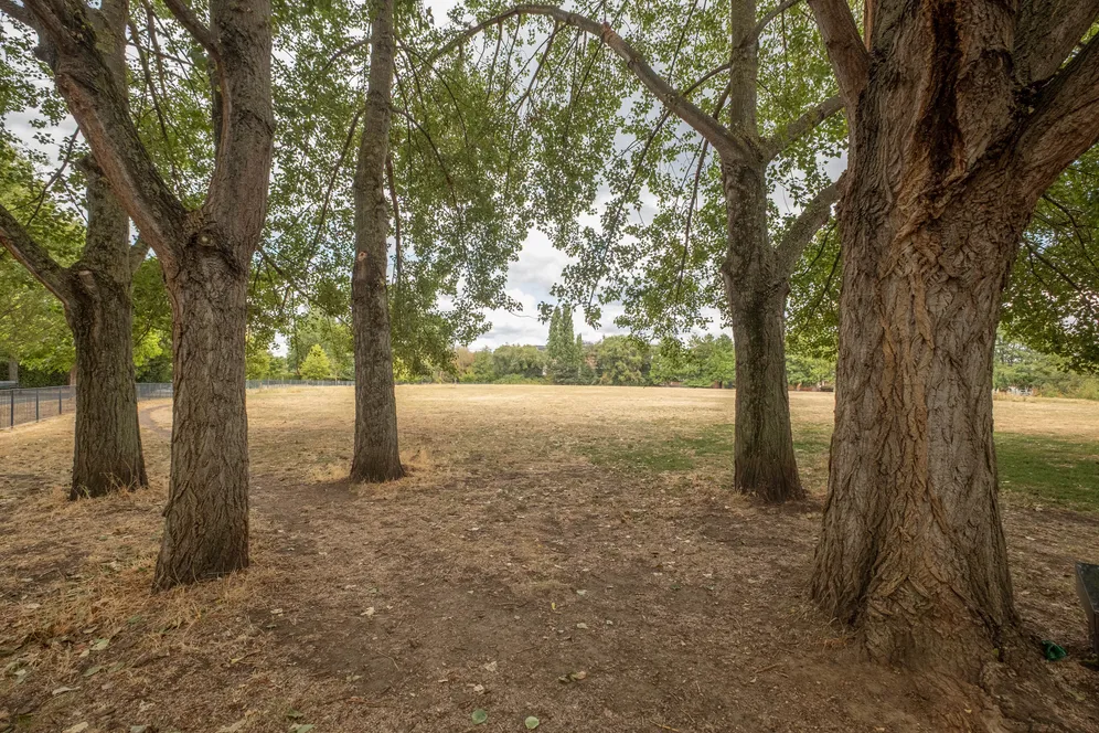 Acuba Road, London, SW18 photo 12