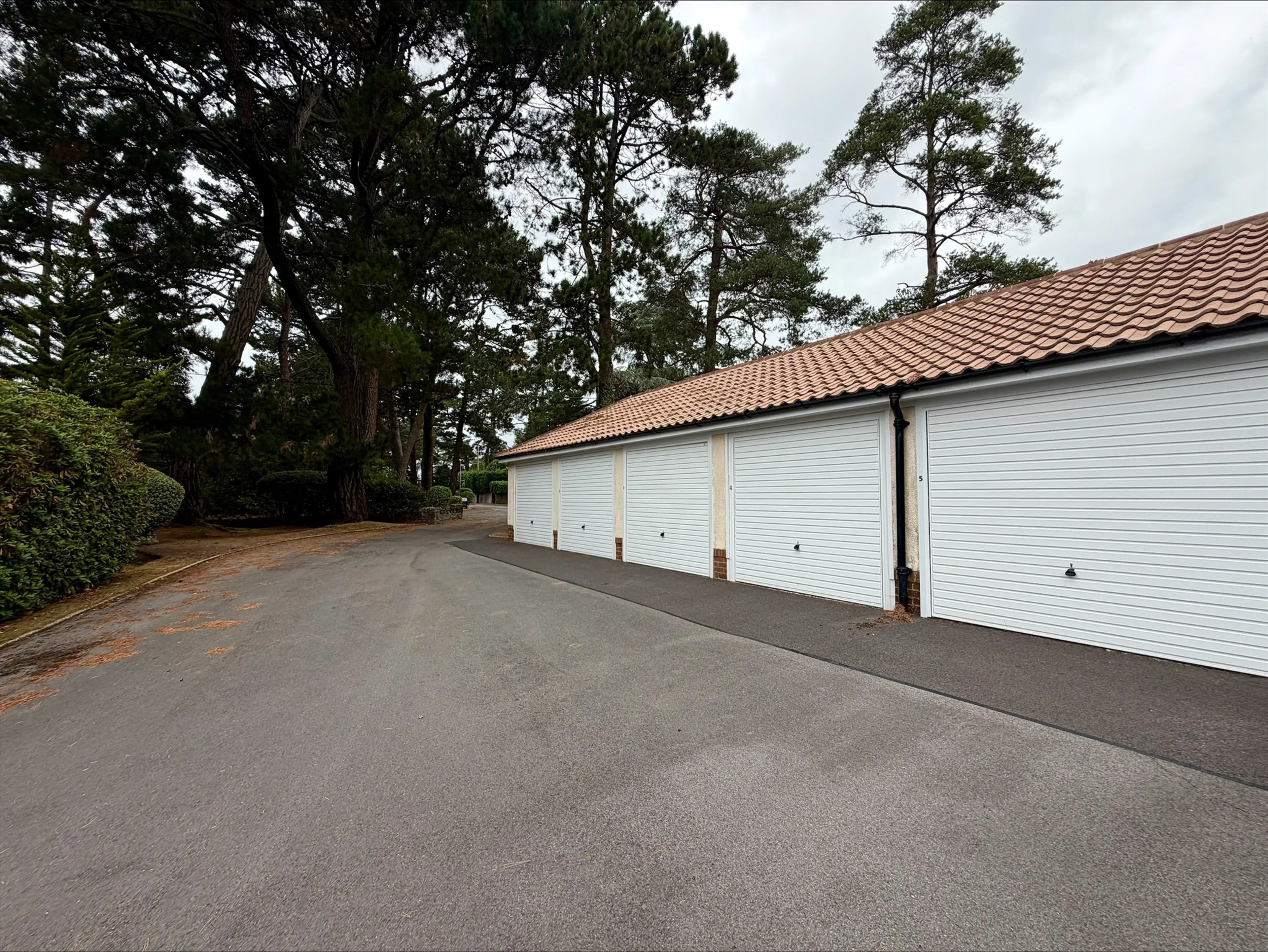 Property photo 19