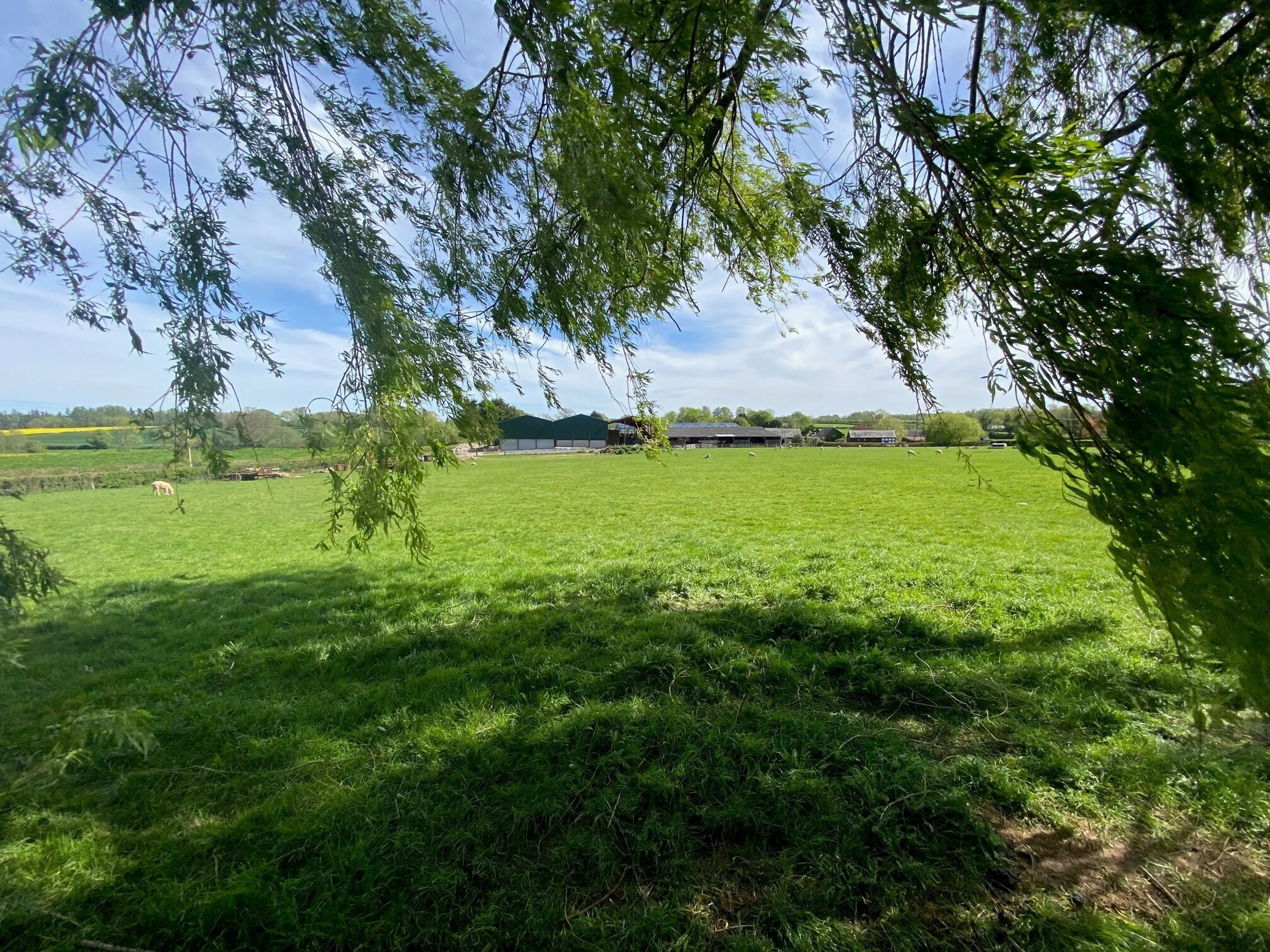 Property photo 11