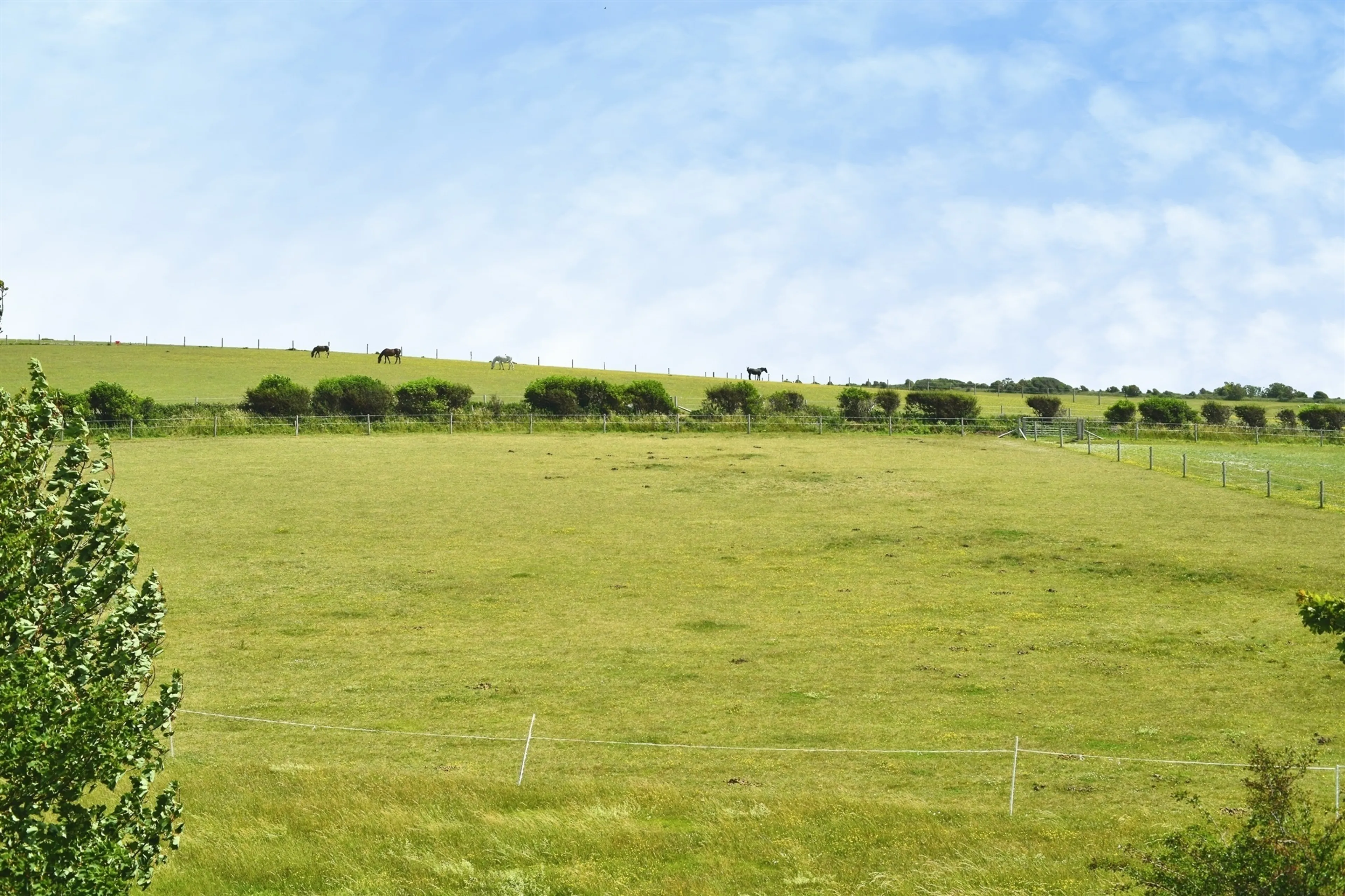Property at Falmer Road, Rottingdean, BRIGHTON