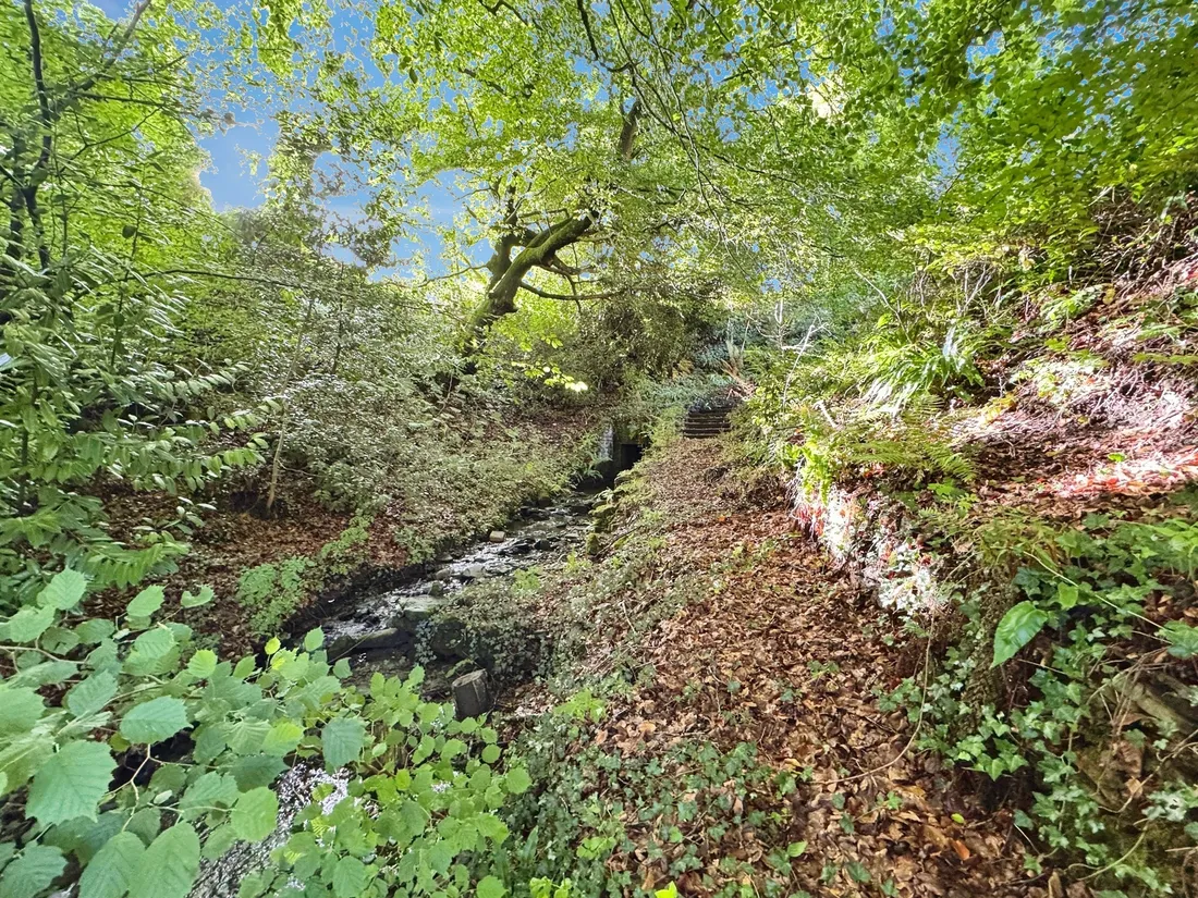 Property photo 22