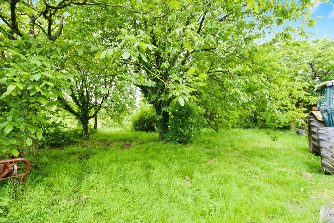 Property photo 19