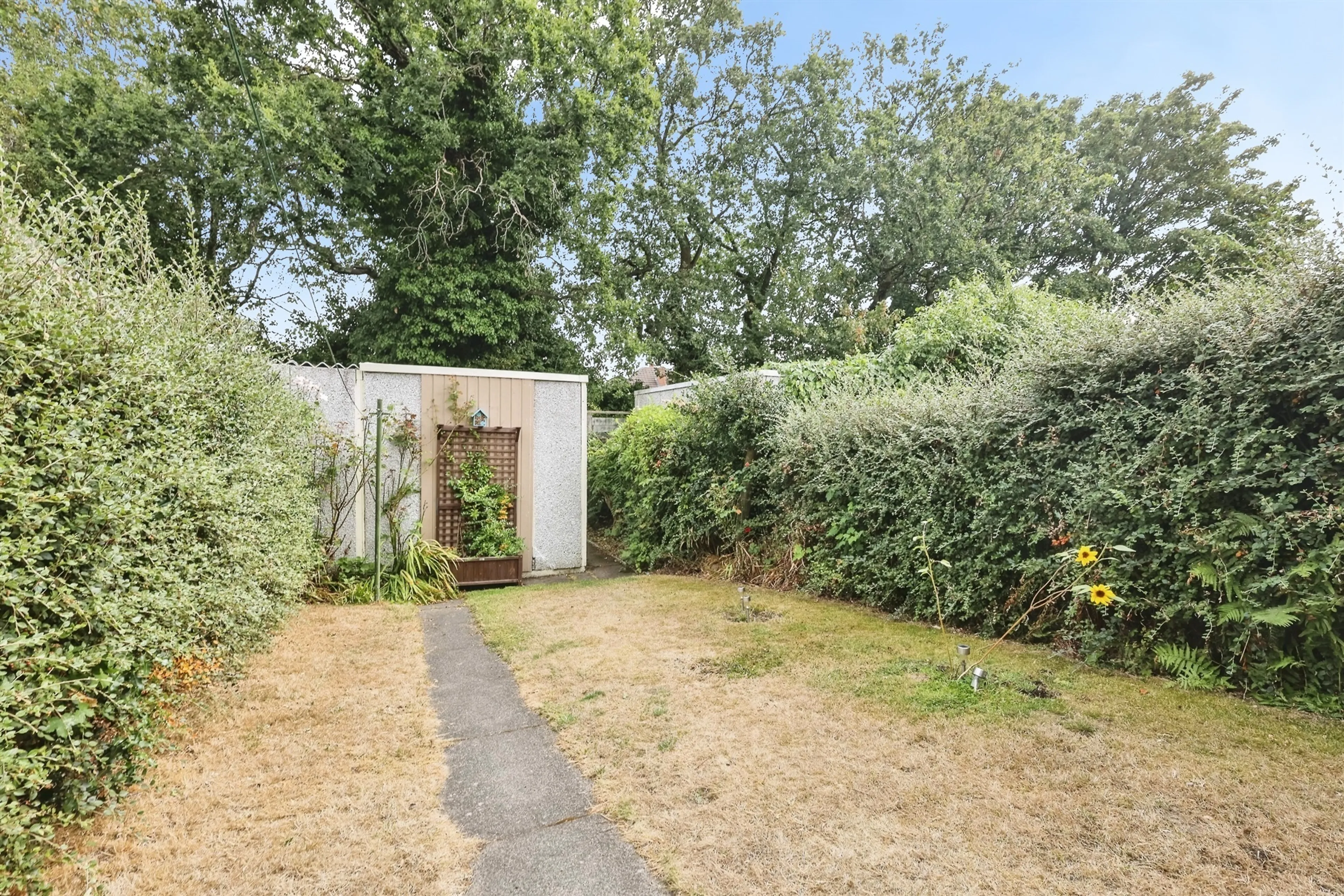 Property photo 19