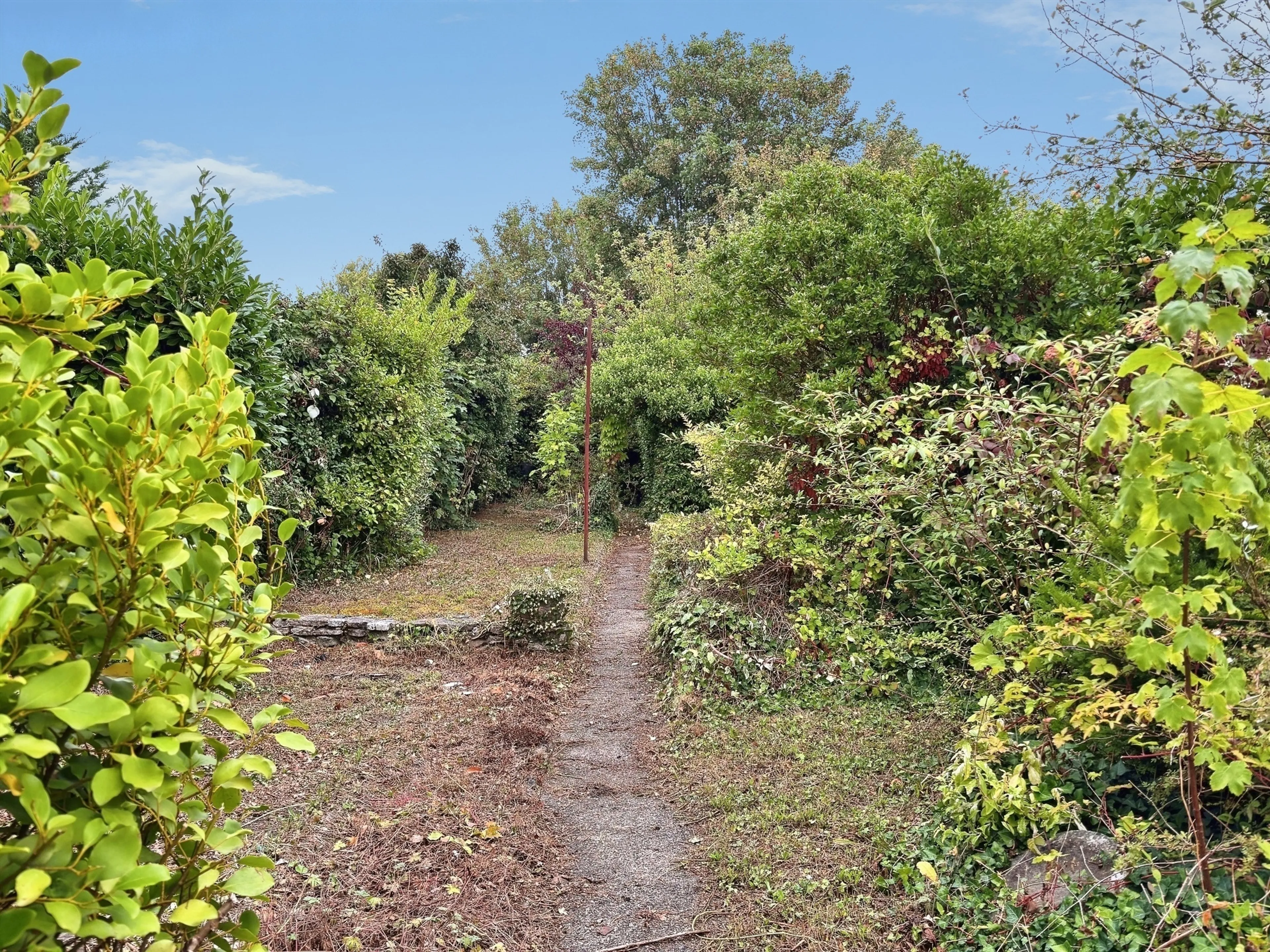Property photo 11