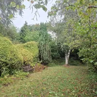 Property 28