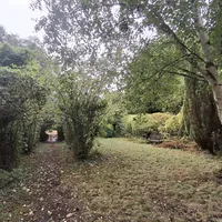 Property 29