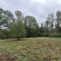 Property 34