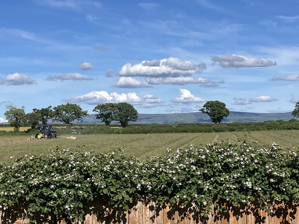 Durdar Road, Carlisle Image 24