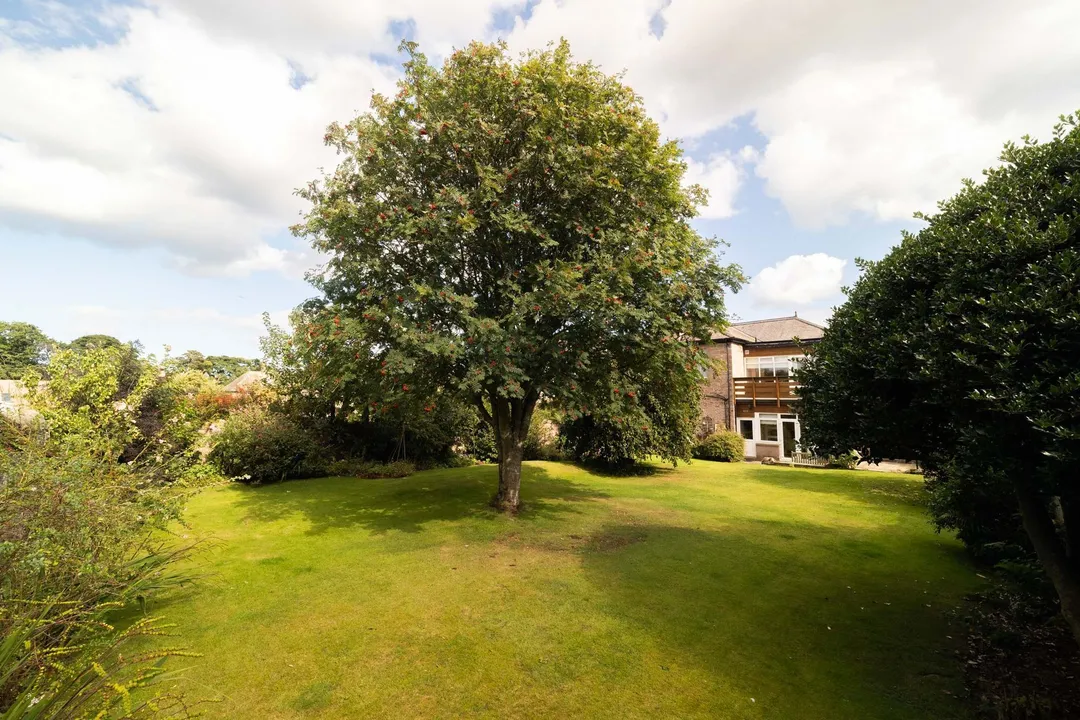 https://mr0.homeflow-assets.co.uk/files/photo/image/48176/3839/_x_/003A3152-31.jpg
