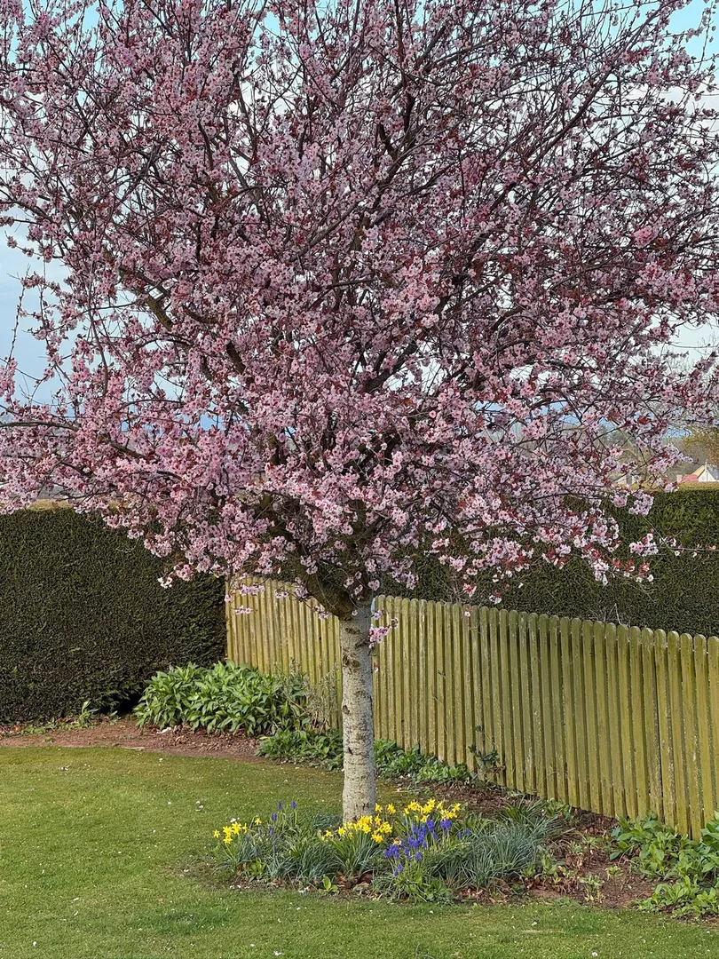https://mr0.homeflow-assets.co.uk/files/photo/image/48176/4245/_x_/WhatsAppImage2026-08-31at6.02.36PM.jpg