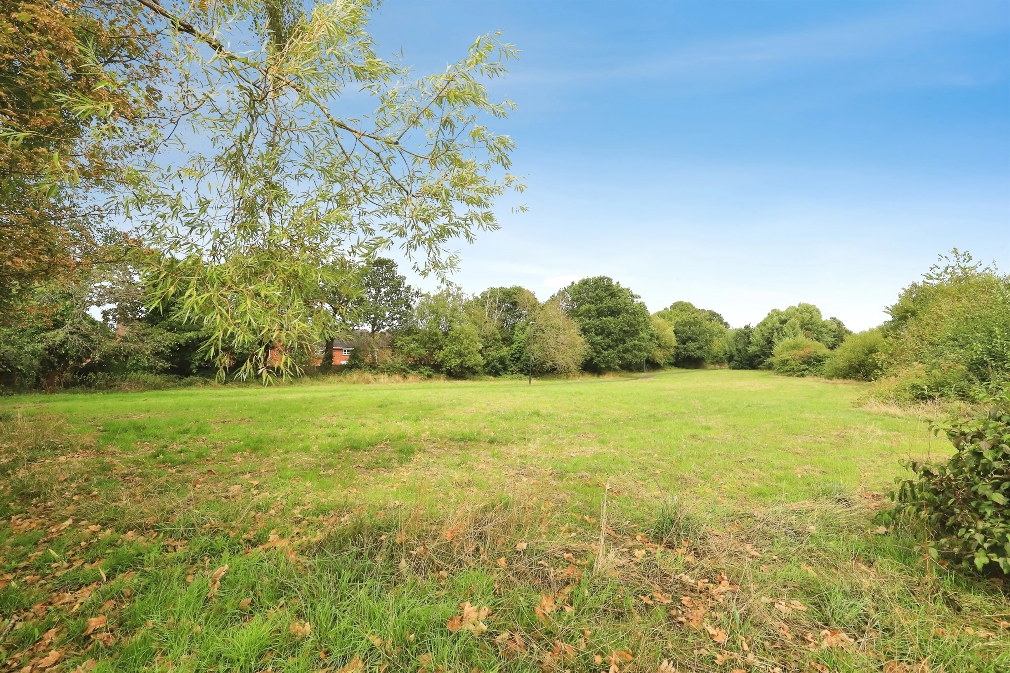 Property photo 19