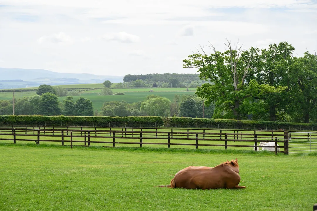 https://mr0.homeflow-assets.co.uk/files/photo/image/48179/7547/_x_/Cakemuir-STABLES-36.jpg