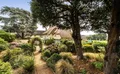 Property image gallery
