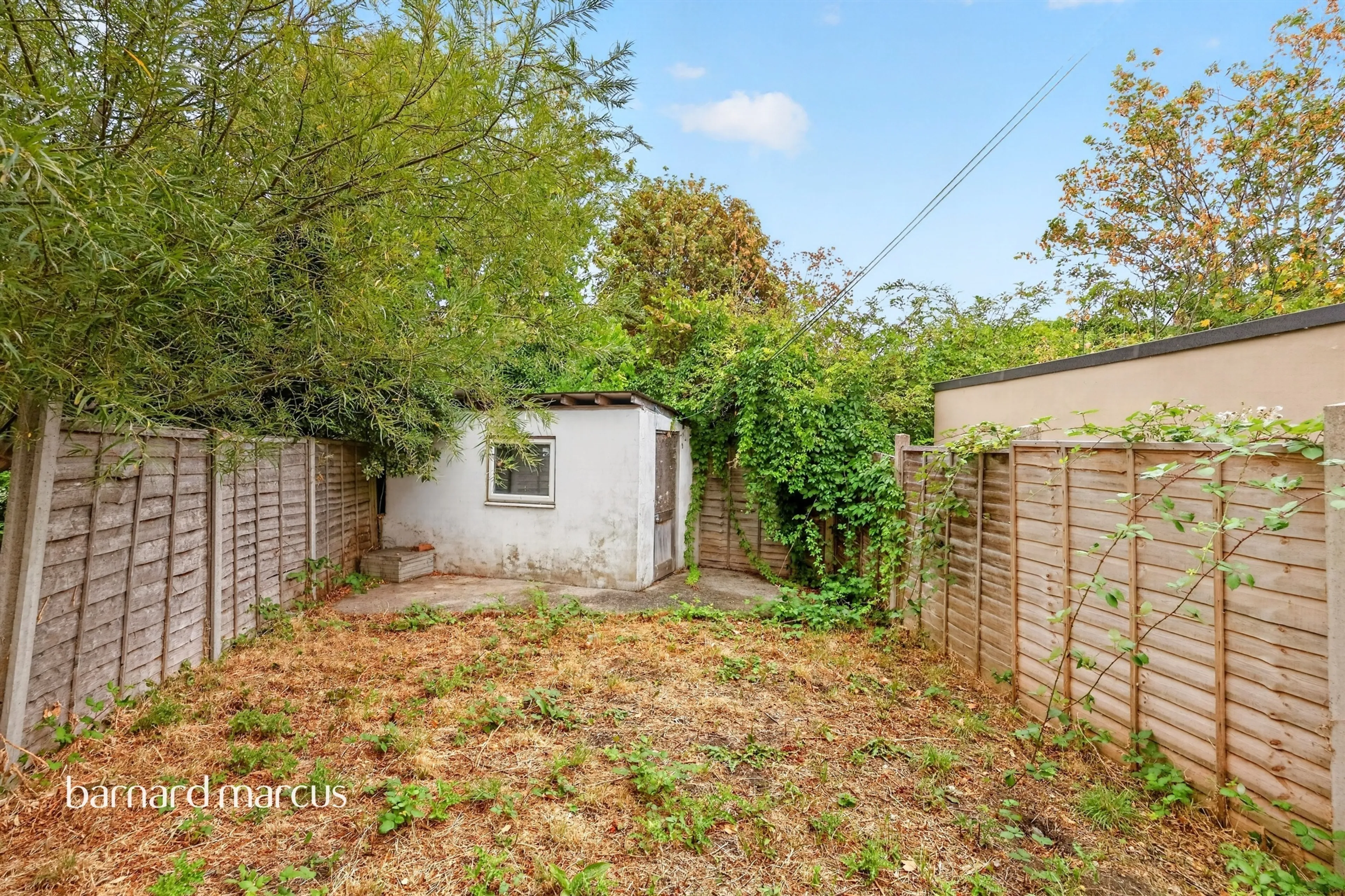 Property photo 19