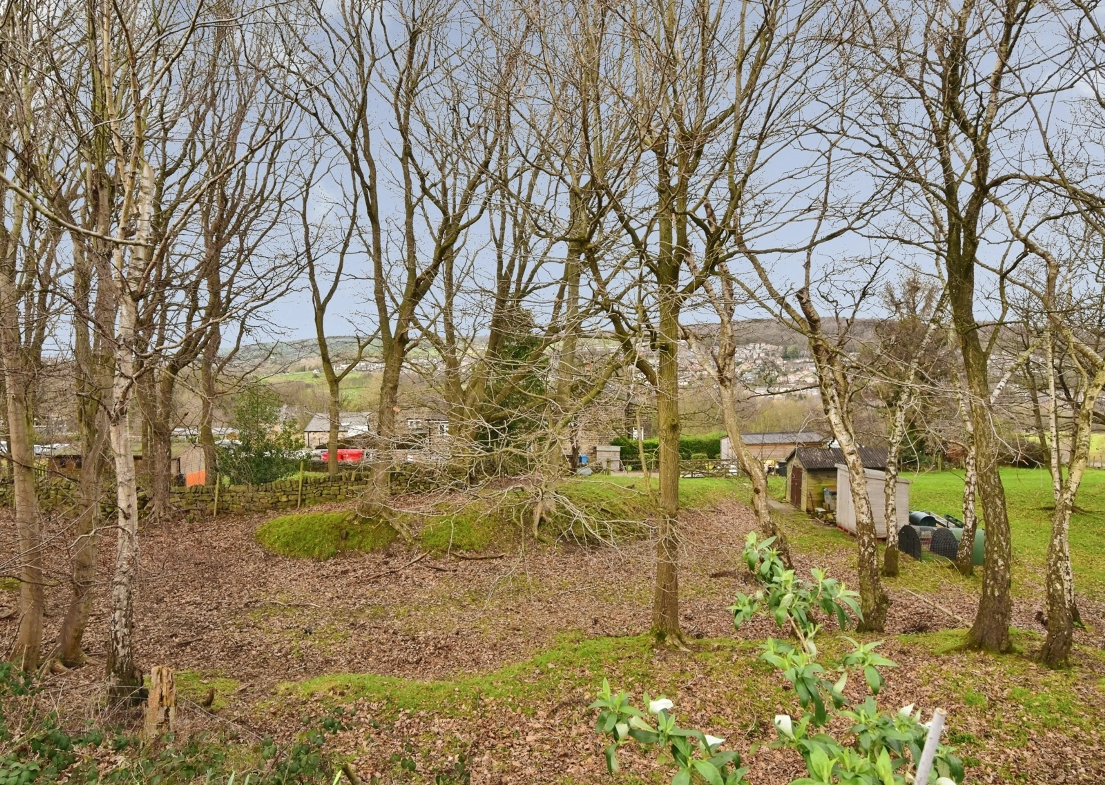 Property photo 15