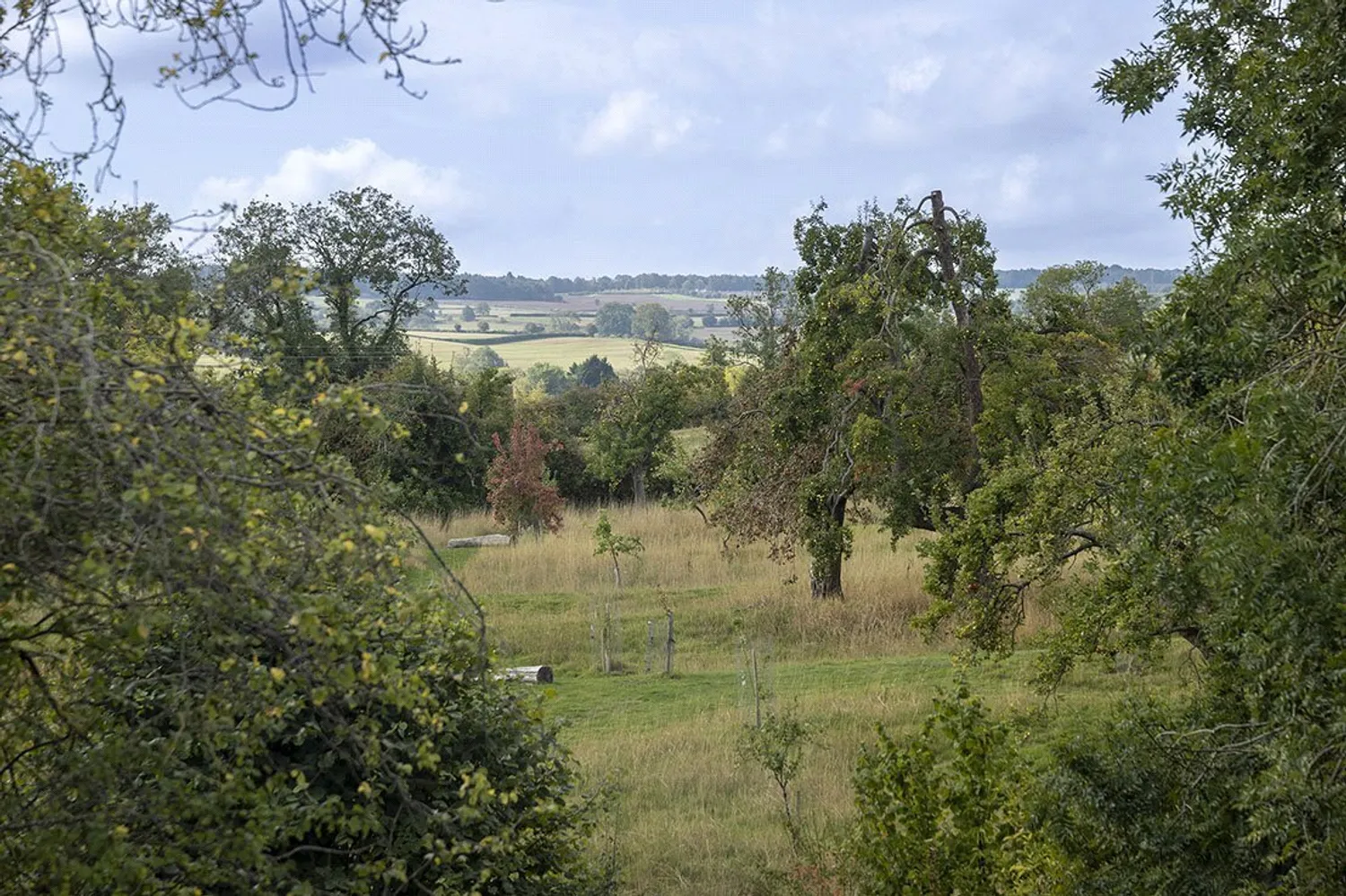 Lavender Drive, Chipping Campden, GL55 photo 16