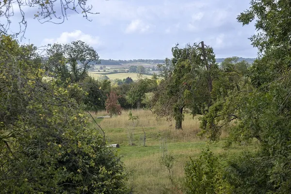 Lavender Drive, Chipping Campden, GL55 photo 16