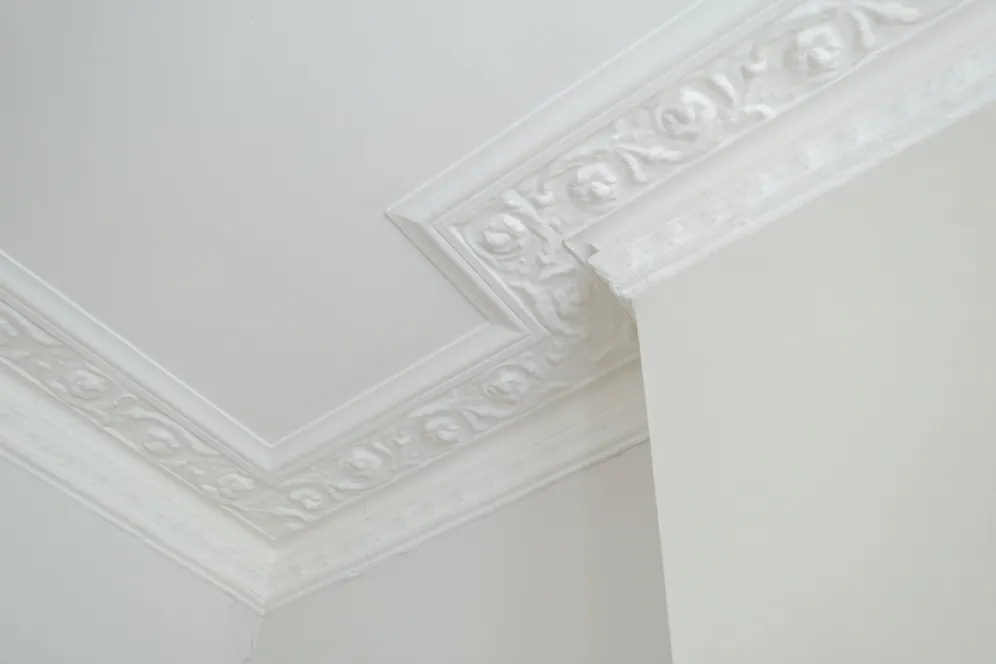 North Villas, London, NW1 photo 10