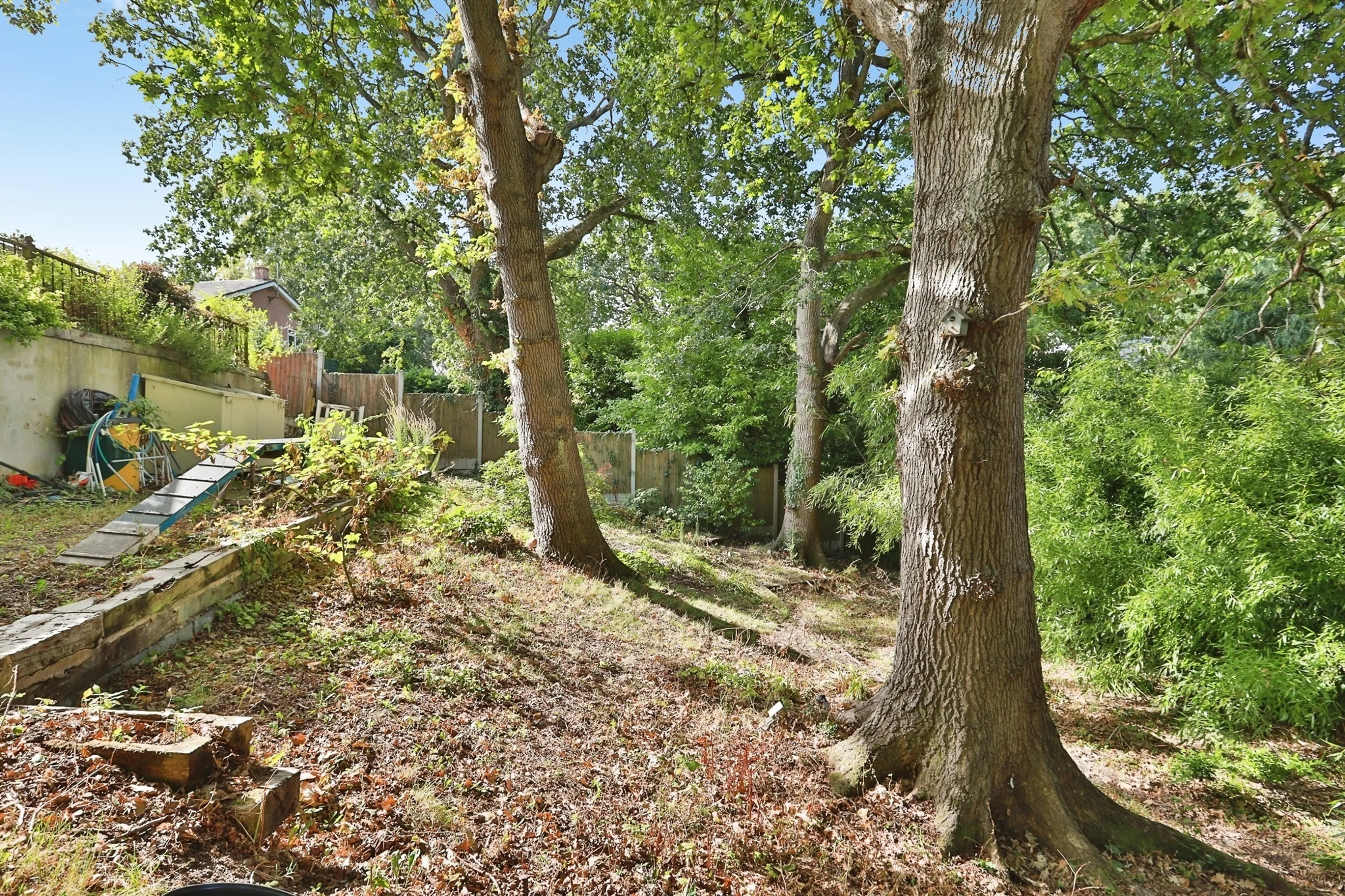 Property photo 21