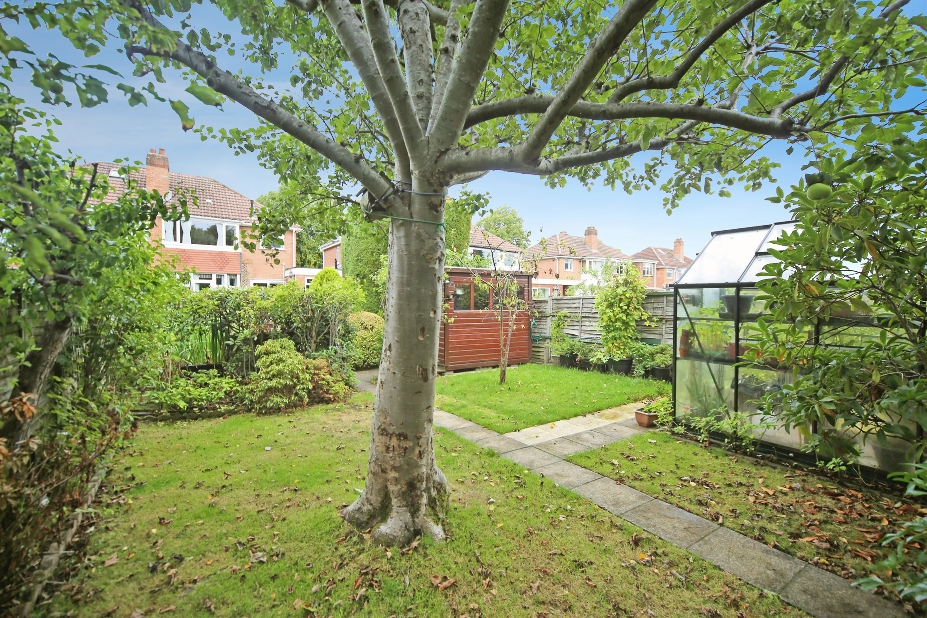 Property photo 19