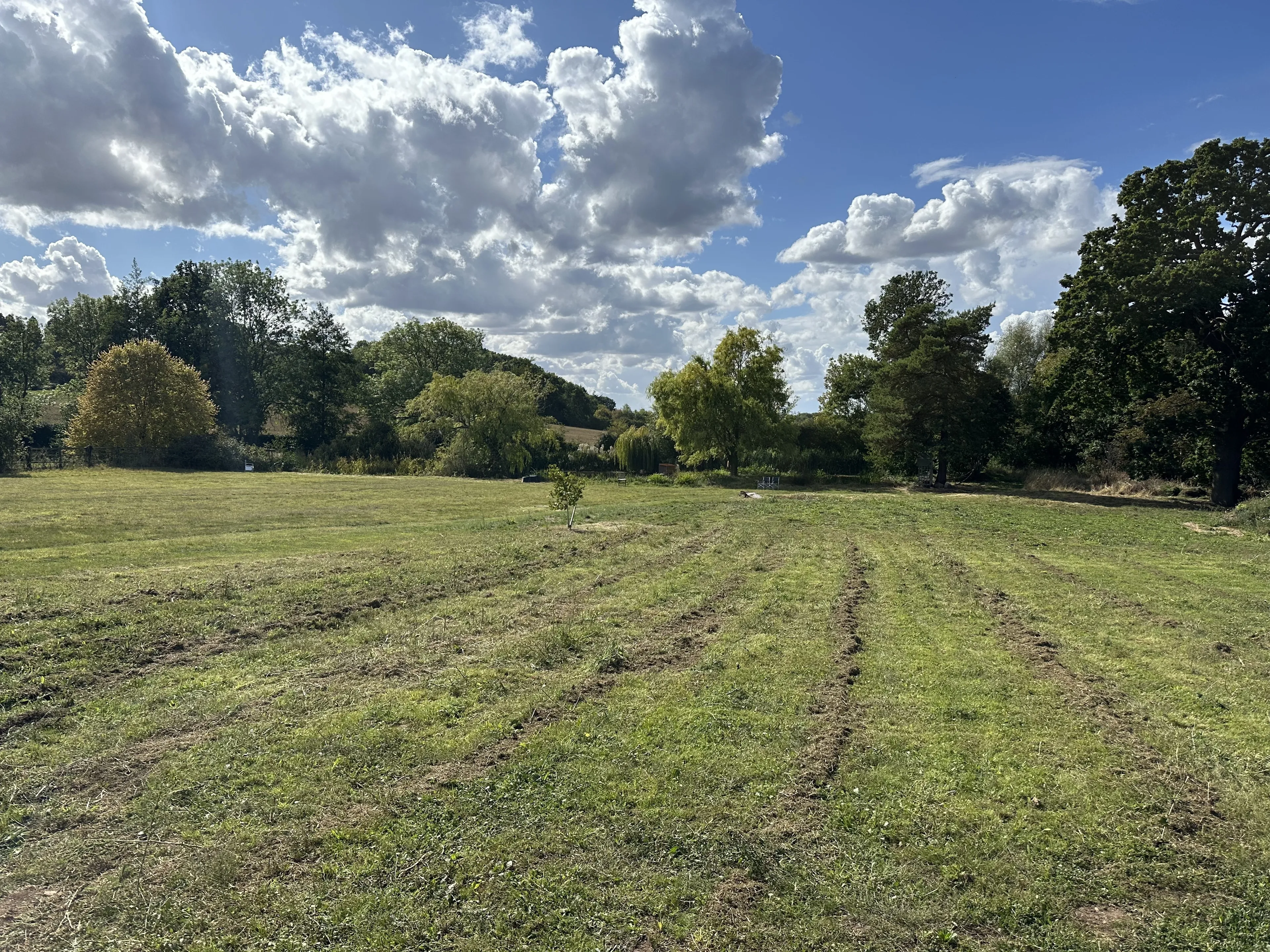 Property photo 14