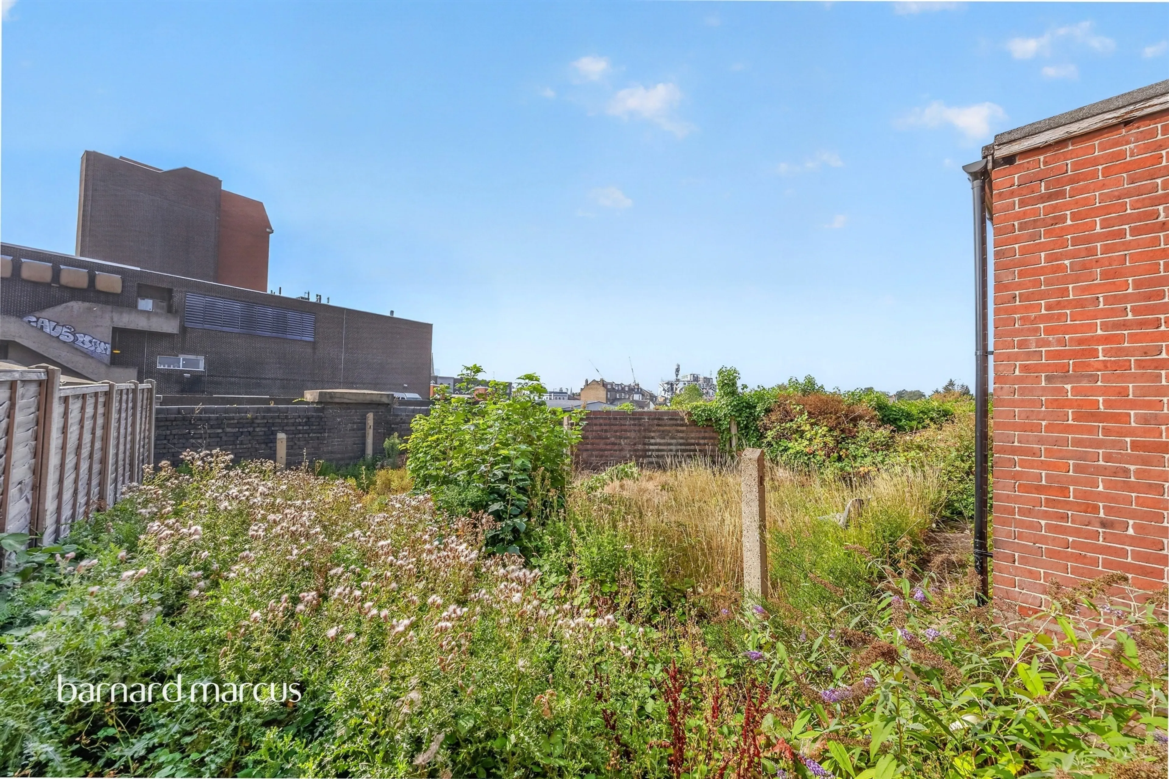 Property photo 19