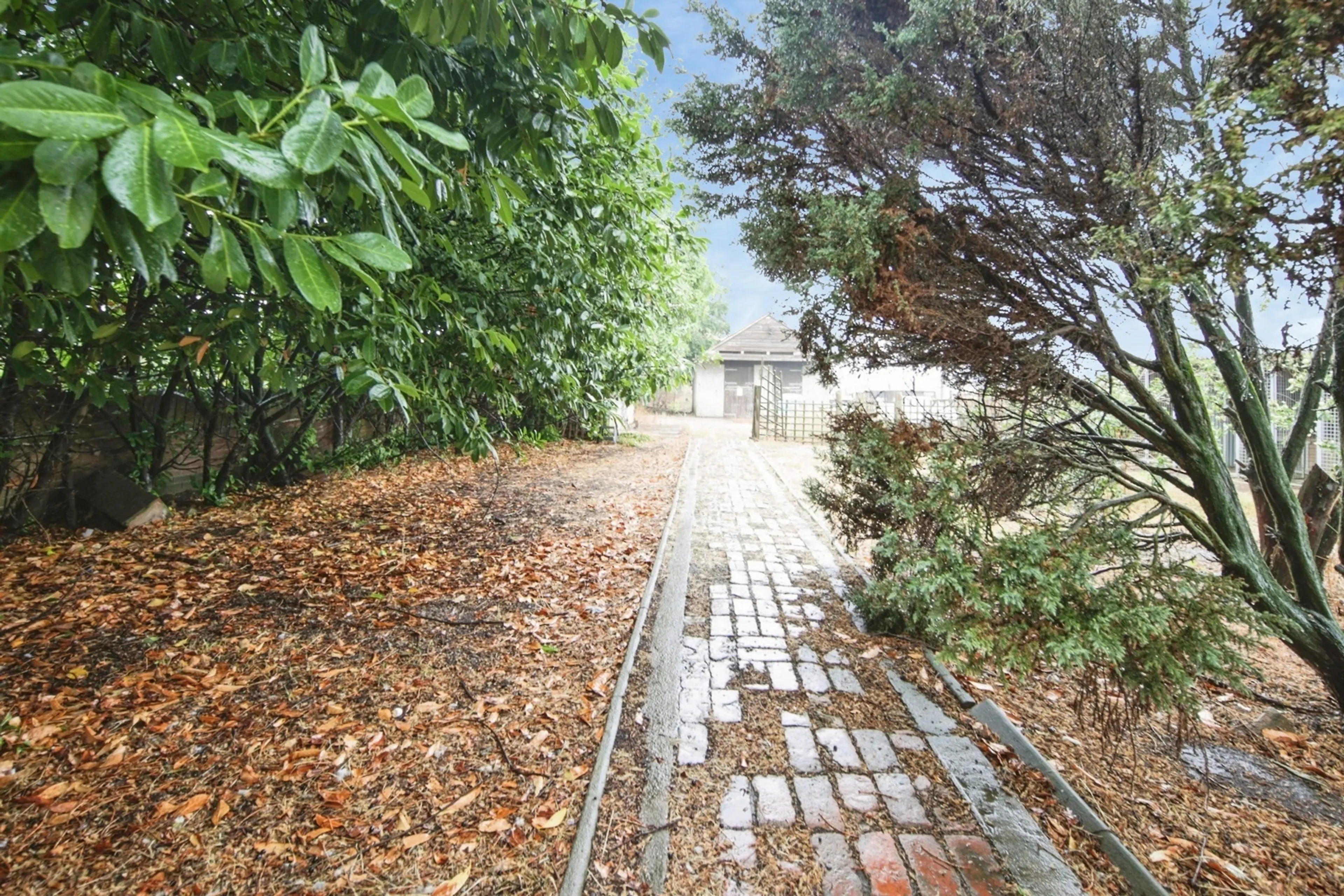 Property photo 19