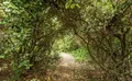 Property image gallery