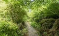 Property image gallery
