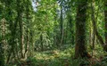 Property image gallery